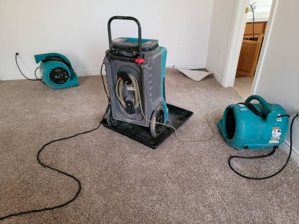 Best Residential water damage restoration  in Newstle, CA