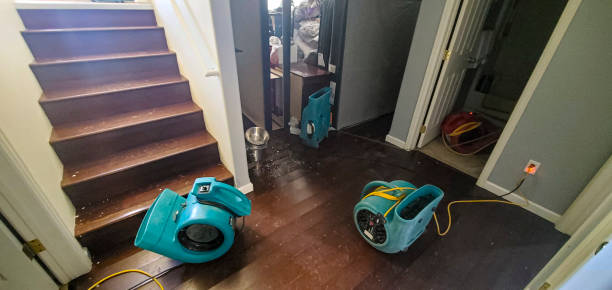 Best Water damage restoration near me  in Newstle, CA