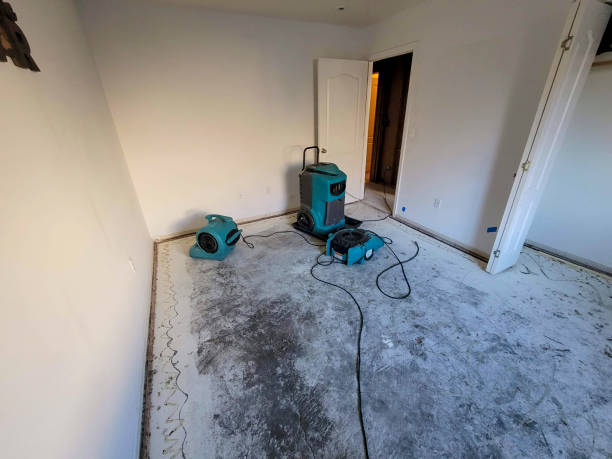 Best Water damage repair service  in Newstle, CA