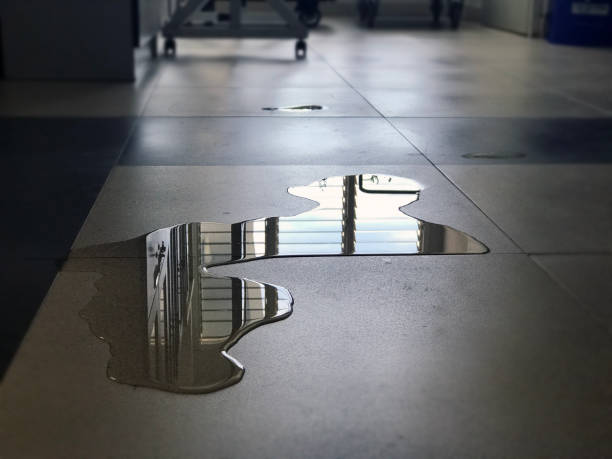 Best Emergency water damage restoration  in Newstle, CA