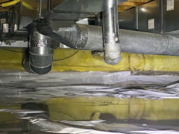 Best 24/7 water damage repair  in Newstle, CA