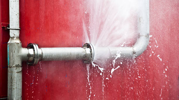 Best Mold removal after water damage  in Newstle, CA